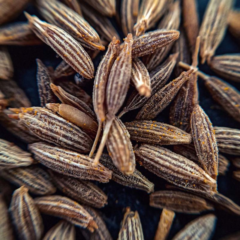 Spice files: Cumin